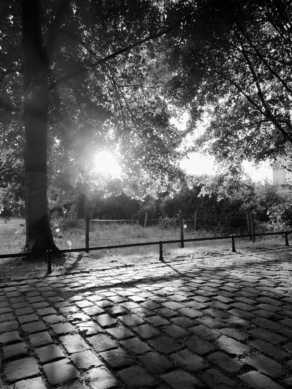 SILHOUETTE PEOPLE ON FOOTPATH IN PARK