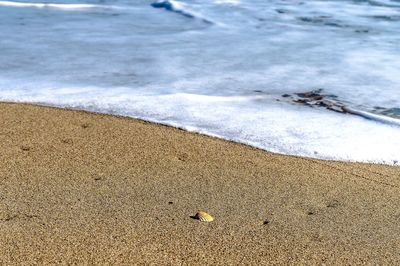 Close-up of beach