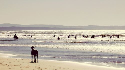 Scenic view of beach