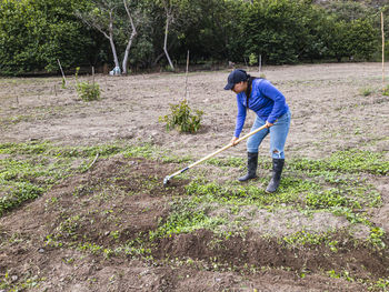 Rear view of man working at farm