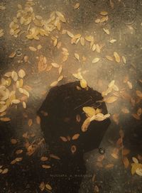 High angle view of dry leaves floating on lake