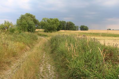 Scenic view of field against cloudy sky