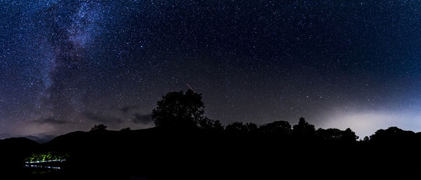 Low angle view of silhouette trees against sky at night