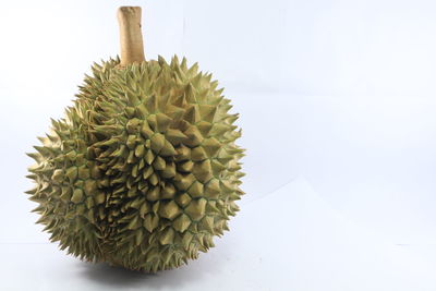 High angle view of fruits on table against white background