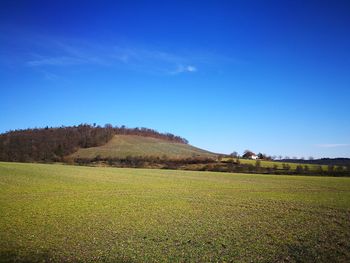 Scenic view of agricultural field against blue sky