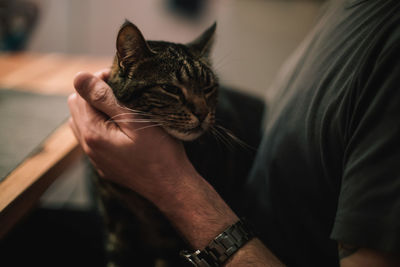 Midsection of person holding cat at home