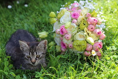 Close-up of kitten by bouquet on grassy field