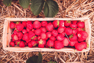 High angle view of strawberries in basket