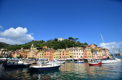 Sailboats moored in sea against blue sky