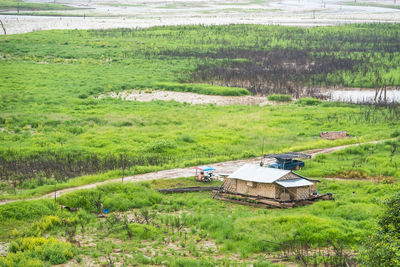 Scenic view of agricultural field