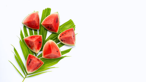 High angle view of chopped fruits against white background