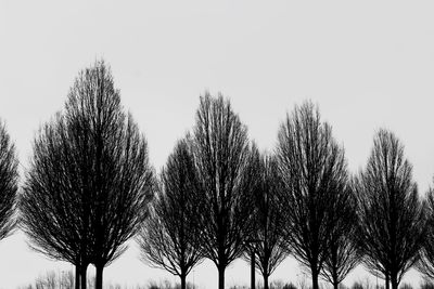 Low angle view of silhouette trees against sky during winter
