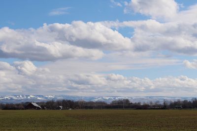 Scenic view of field against sky