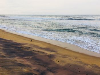 Scenic view of beach against sky during sunset