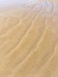 Full frame shot of sand dune