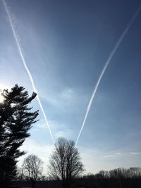 Low angle view of trees against blue sky