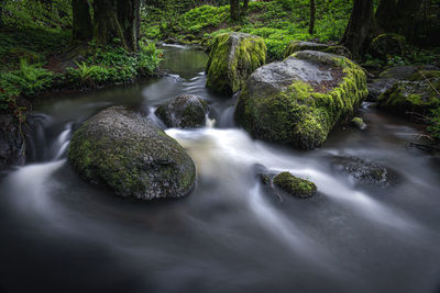 Scenic view of waterfall in forest