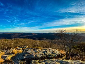 Scenic view of landscape against blue sky