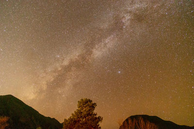 Low angle view of star field against sky at night