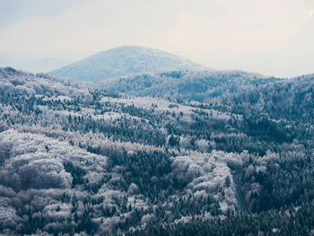 Early winter freeze weather. hoarfrost on treetops on sharp hills. colorful trees with last leaves