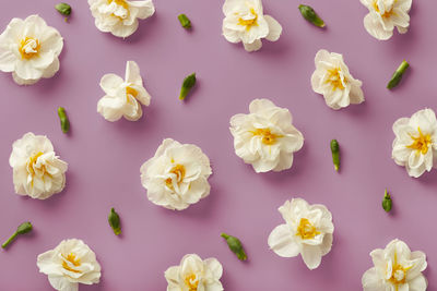 Close-up of pink roses