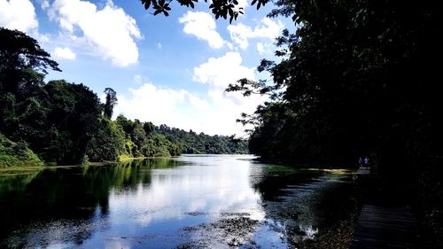 Scenic view of lake in forest against sky