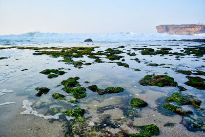 Scenic view of sea against clear sky