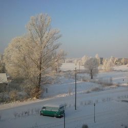 View of trees in winter