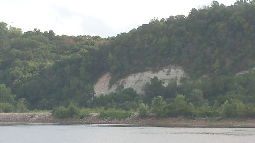 Scenic view of river in forest against sky