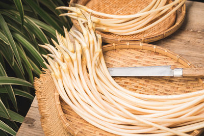 Fresh organic lotus root- lotus shoot- lotus stem- ingredient for cooking