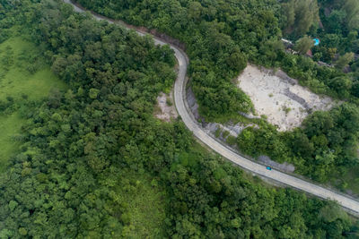 High angle view of road amidst trees in forest