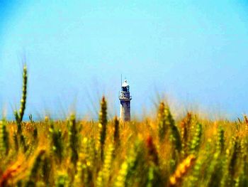 Lighthouse on field