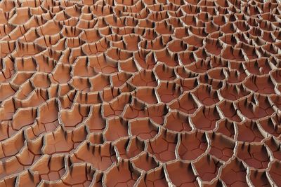 Full frame shot of patterned wall