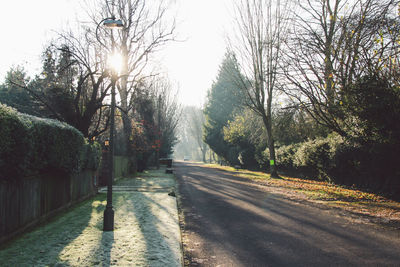 View of footpath along trees