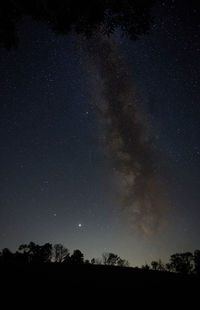 Low angle view of silhouette trees against sky at night