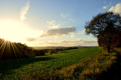 Scenic view of field against sky during sunset