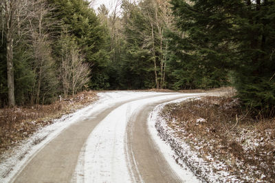 Empty road amidst trees in forest