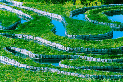 High angle view of trees in park