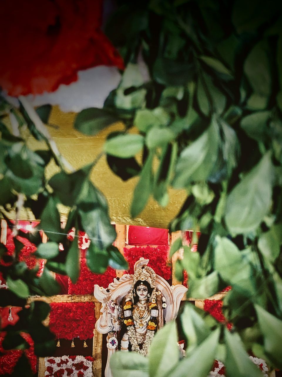 red, leaf, plant part, green, flower, plant, nature, no people, autumn, holiday, christmas, celebration, tradition, close-up, decoration, tree, outdoors, food and drink, selective focus, food, day, beauty in nature