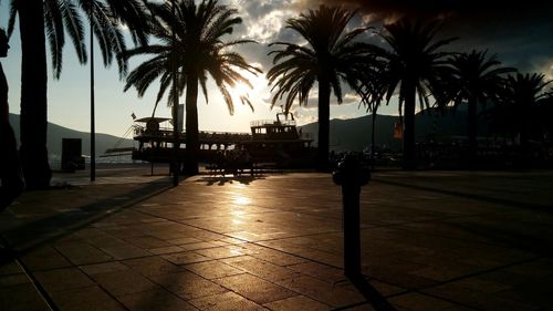 Palm trees at sunset