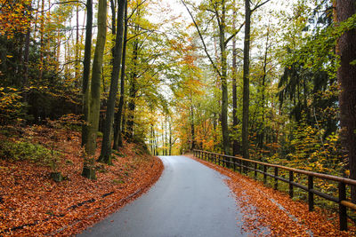 Road amidst trees in forest during autumn