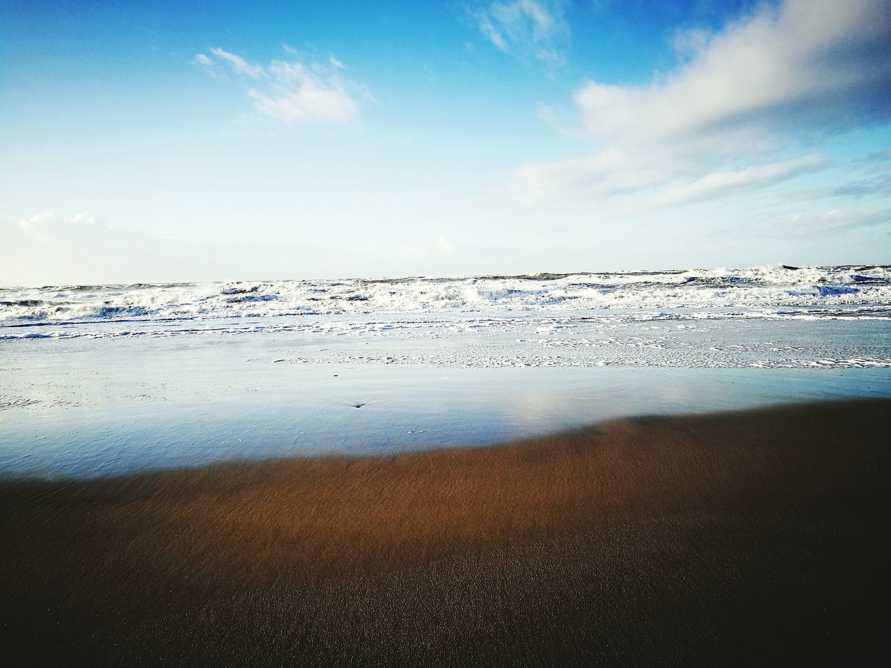 BIRDS OVER SEA AGAINST SKY