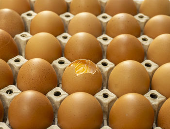 Full frame shot of eggs