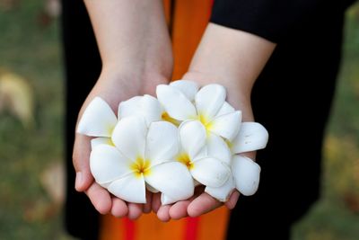 Midsection of woman holding white flowers