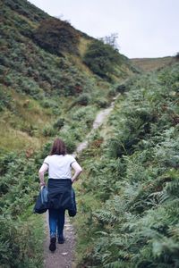 Rear view of hiker walking on trail