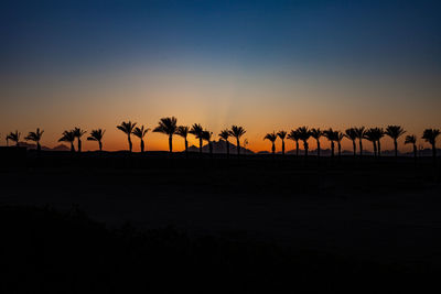 Silhouette trees on landscape against sky during sunset