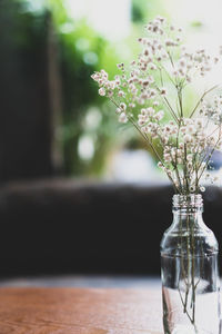 Close-up of white flower vase on table