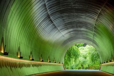 Interior of green tunnel