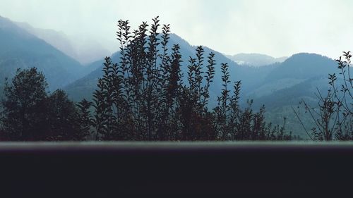 Scenic view of tree mountains against sky