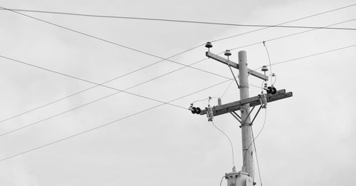 Low angle view of bird perching on cable